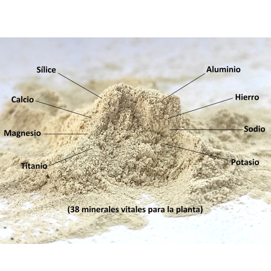 tierra de diatomeas 1kg