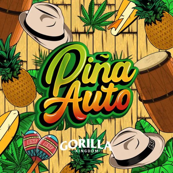 piña auto