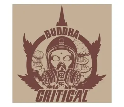 Critical de Buddha Seeds (3+1)