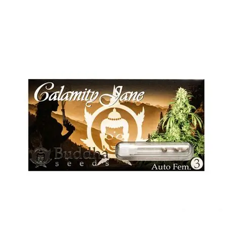 calamitty