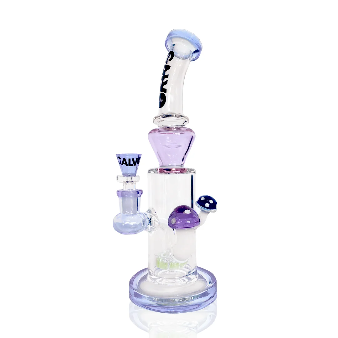 bong hongo morado